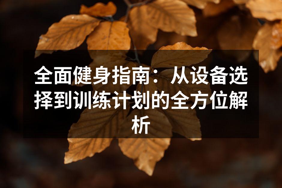 全面健身指南：从设备选择到训练计划的全方位解析